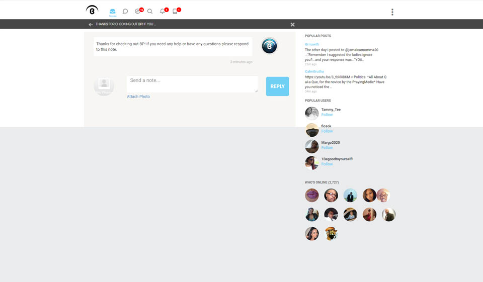 Is It Safe to Use Blackplanet