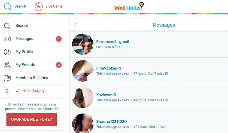 Characteristics of WellHello Desktop Version