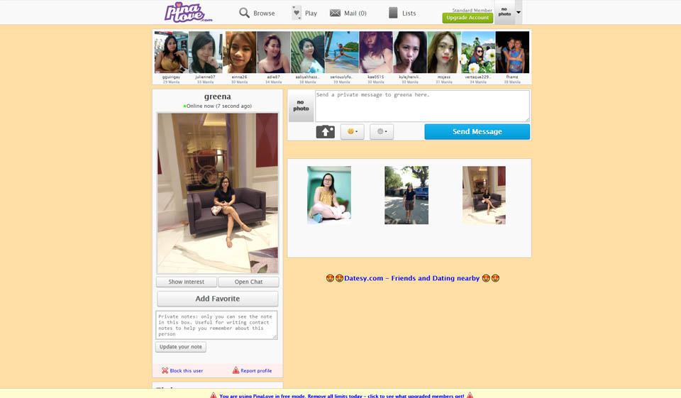 PinaLove User Accessibility