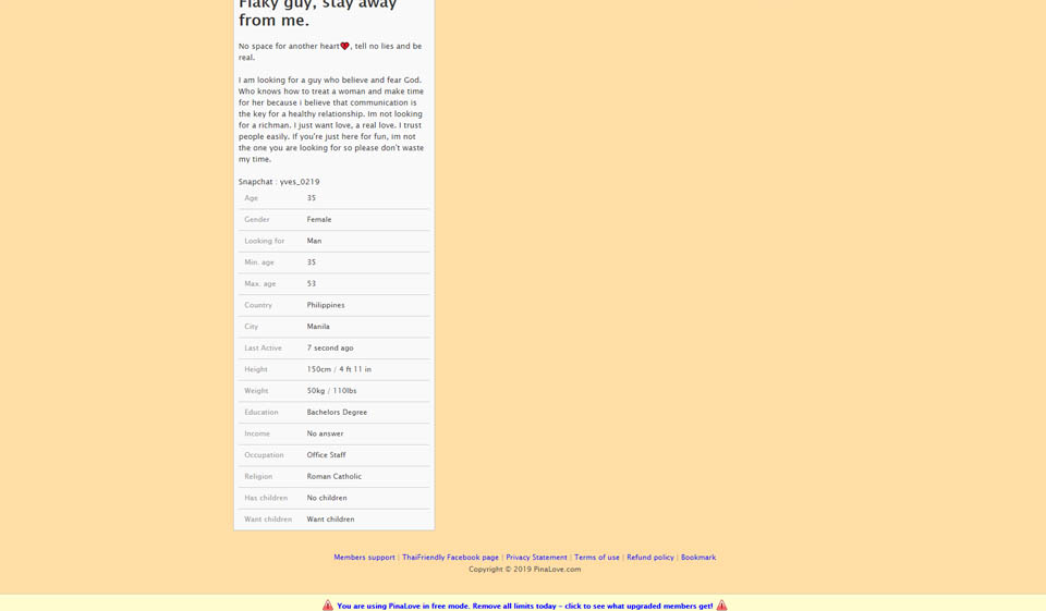 PinaLove Site Usability
