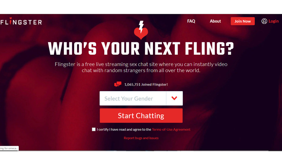 Flingster Review: Tolle Dating Seite?