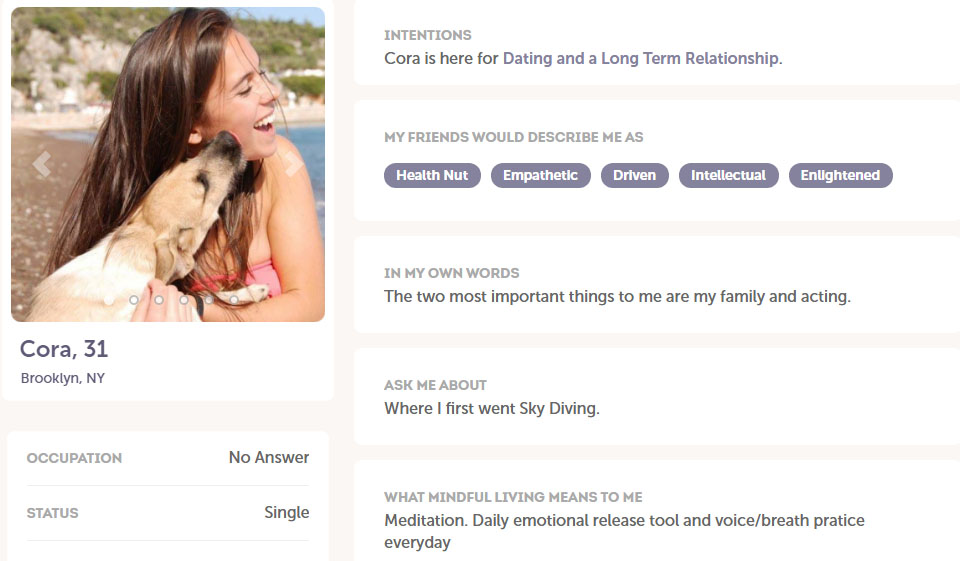 MeetMindful: Is It Really Safe?