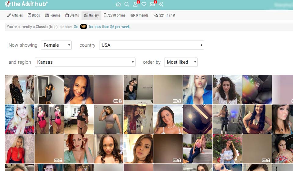 Is The Adult Hub safe?