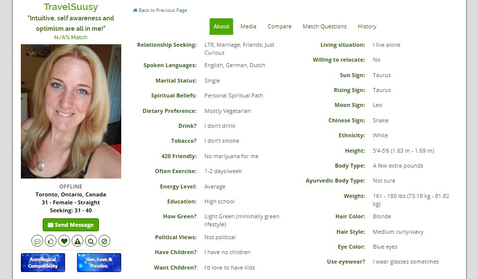 Interface Open the Website