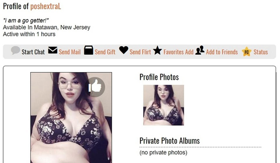 Hvorfor har jeg det vanskelig å komme inn på siden?