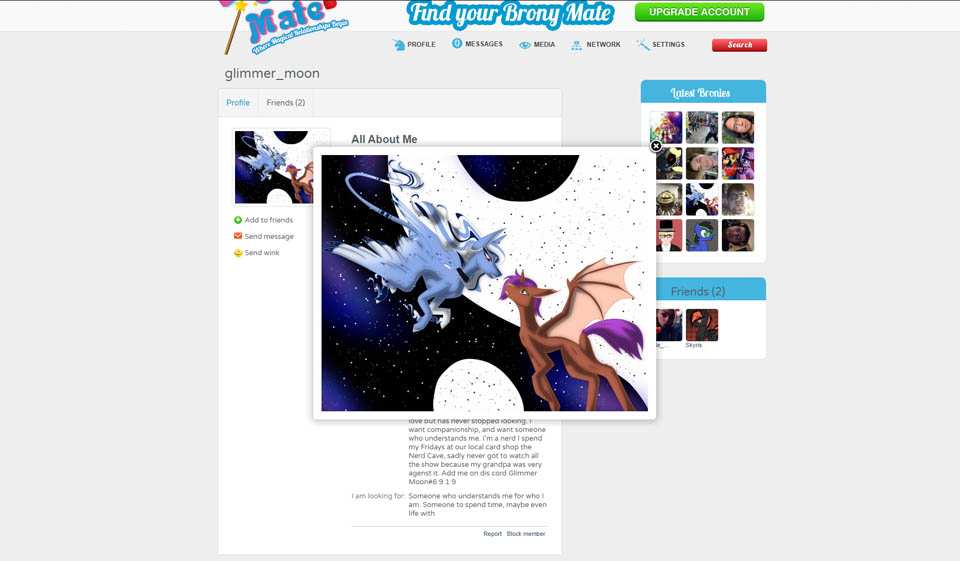 How Does Bronymate work