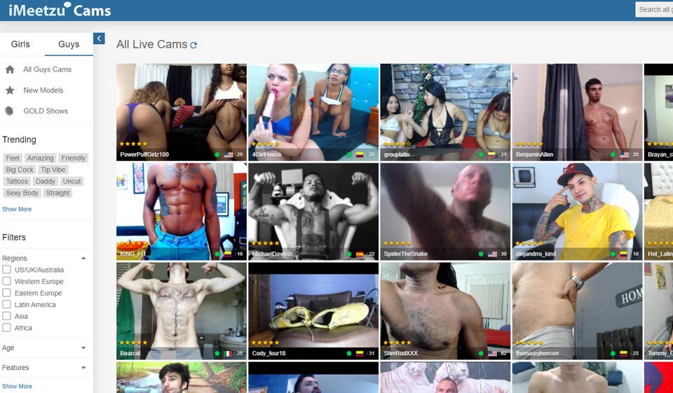 No Option To View People You Like On iMeetzu
