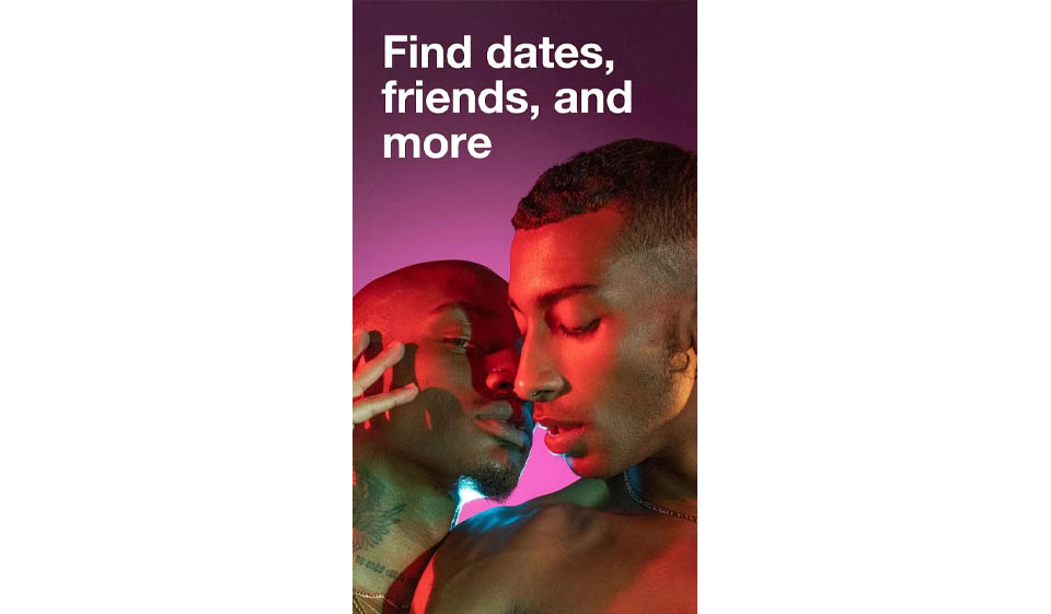 The audience structure and its preferences