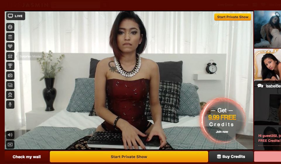 LiveJasmin Interface