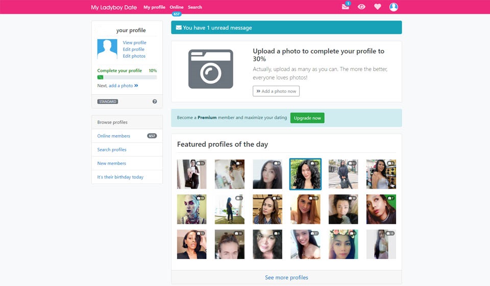 Why Am I Having Difficulty Accessing The Site?