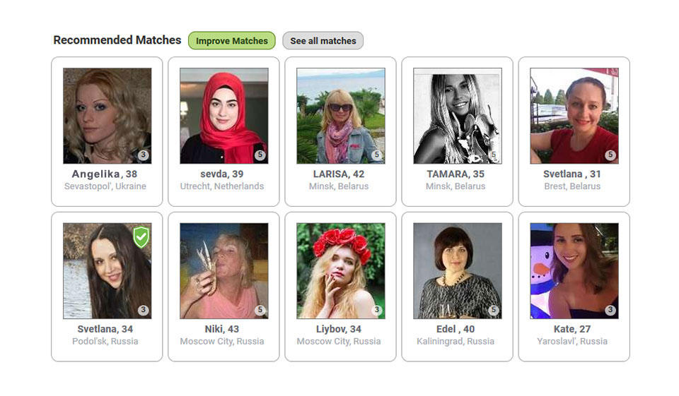 Anwendungsversion und Website-Version