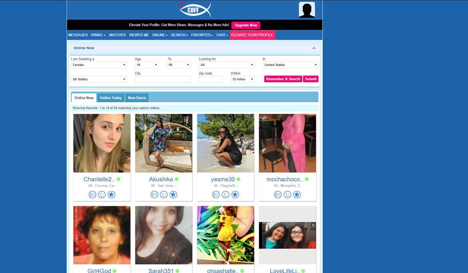 Help and Support on this platform