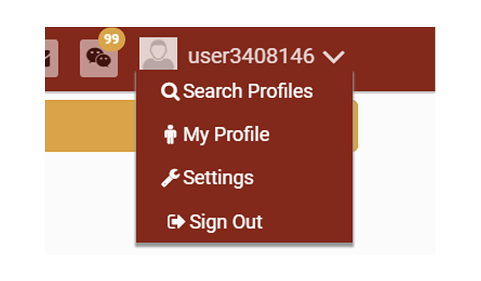 Design & Usability EquestrianSingles