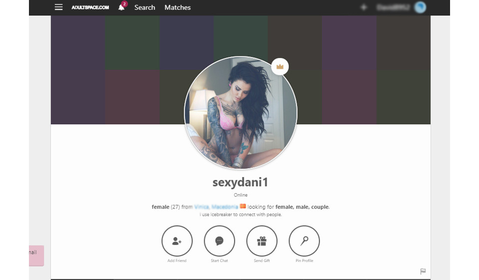 Design and Usability of AdultSpace