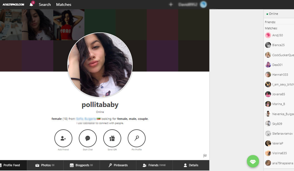 Alternatives to AdultSpace
