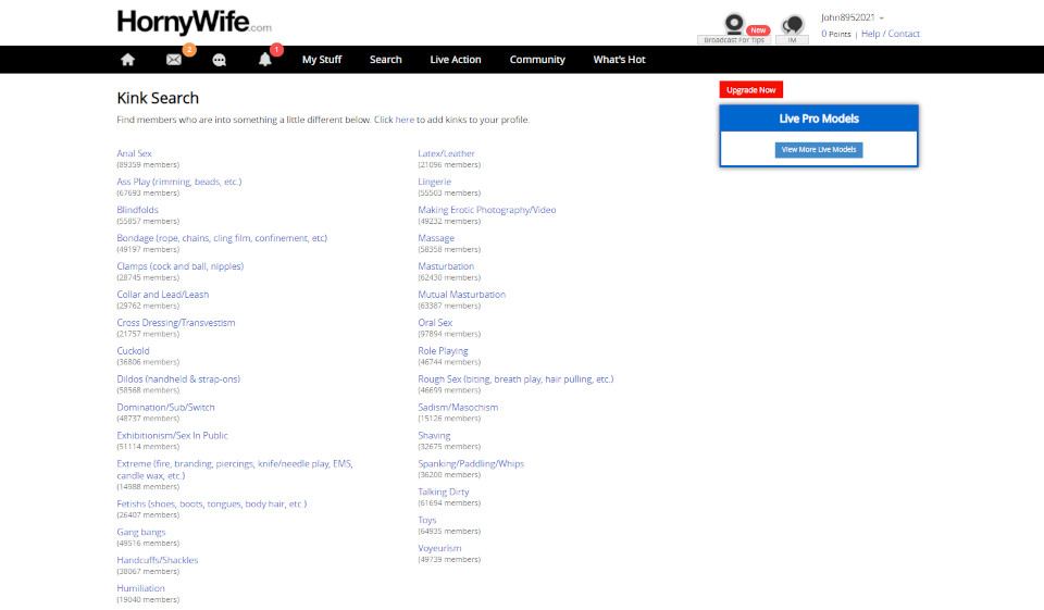 The Problems with HornyWife Website