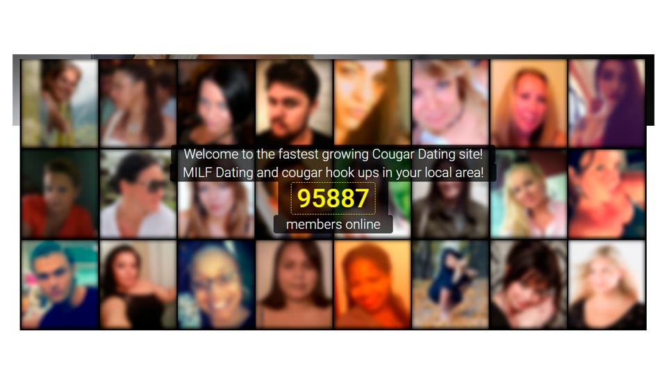 The Overview of Just Cougars Profiles