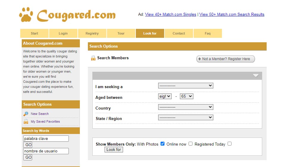 Filtres de recherche