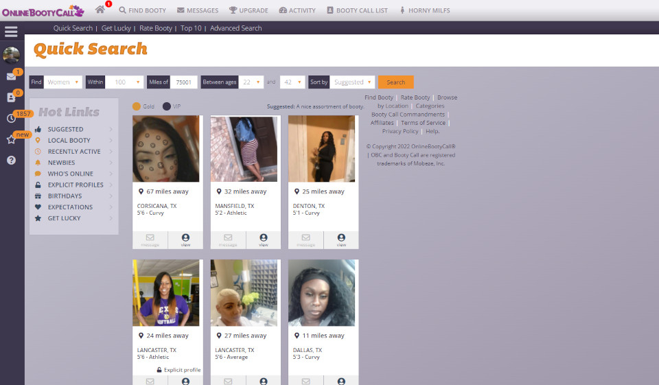 What Is OnlineBootyCall?